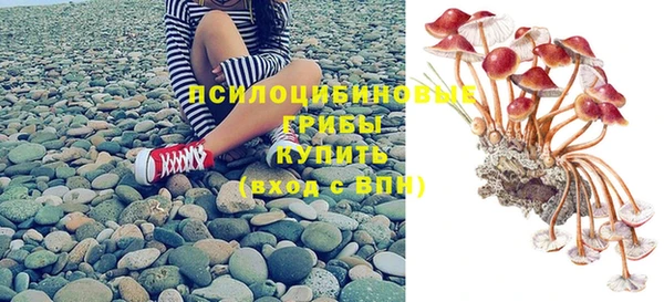 стафф Дмитровск