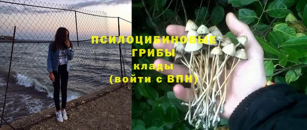 стафф Дмитровск