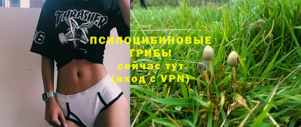 герыч Дмитров