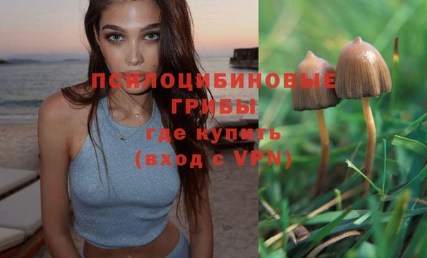 герыч Дмитров