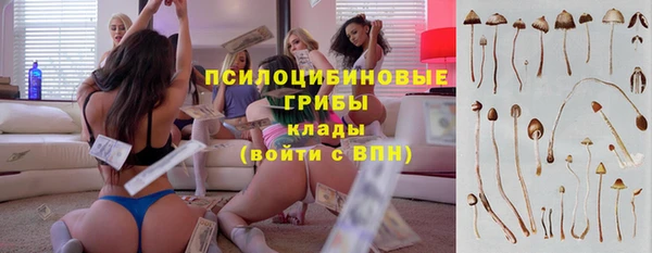 стафф Дмитровск