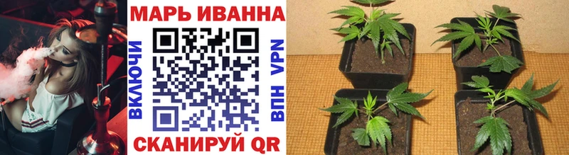 МАРИХУАНА гибрид Вихоревка